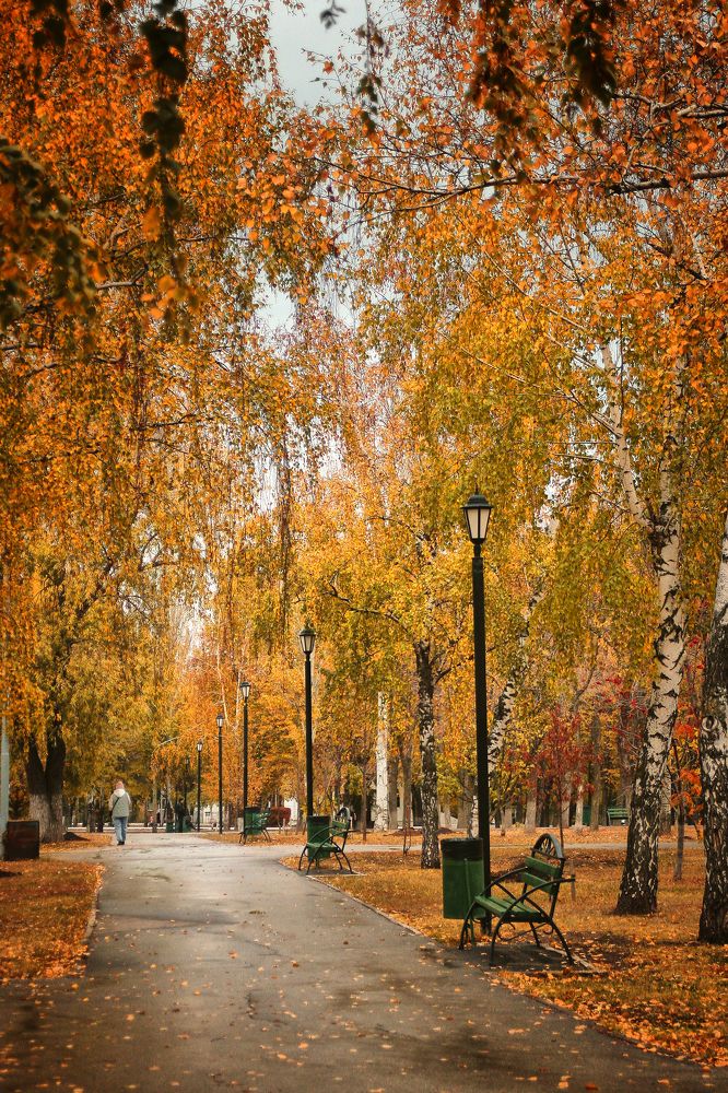 Photograph by Vitaliy Saposhnikov