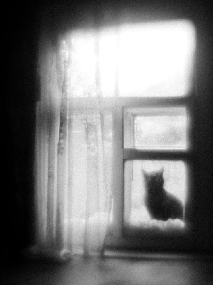 Фотография автора Врубель Андрей