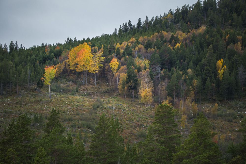 Photograph by Alexandre de Pommereau
