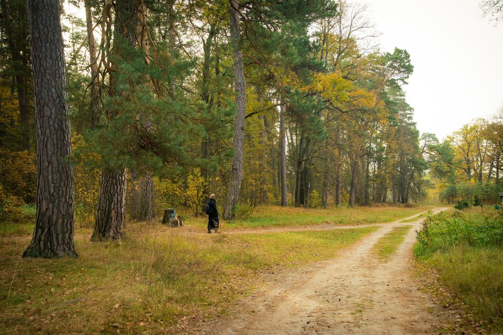 Photograph by Андрей Чуйков