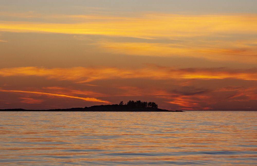 Фотография автора Алёна Пшеленская