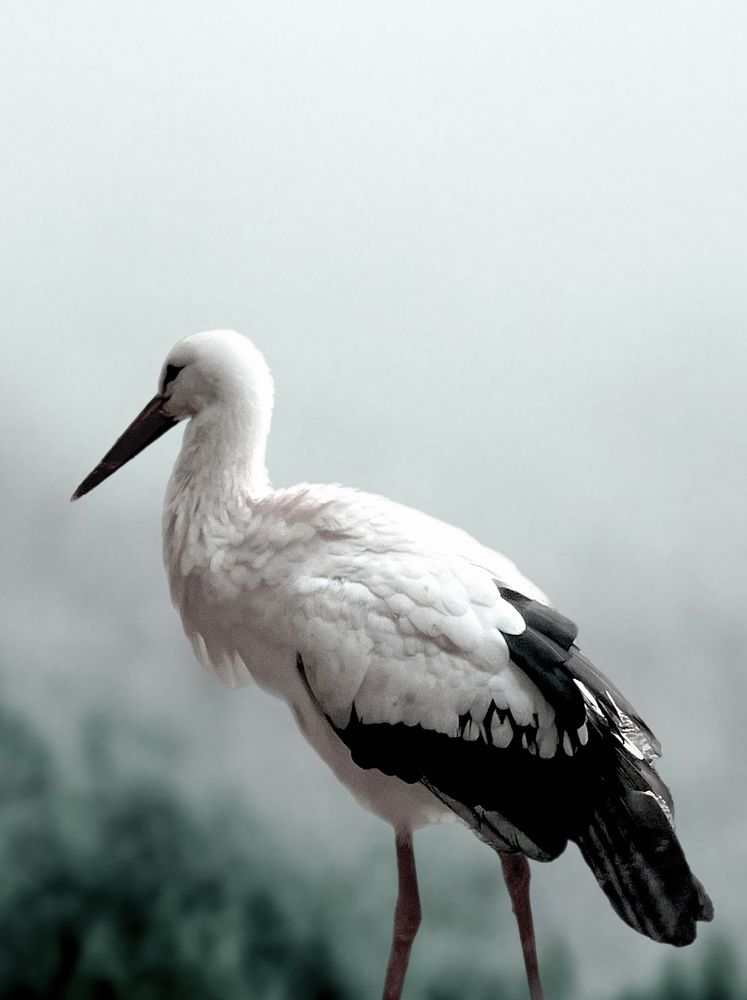 Photograph by Елена Громова