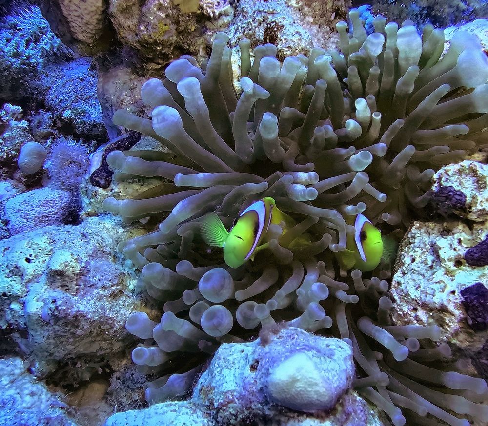 Photograph by Игорь Чернышов