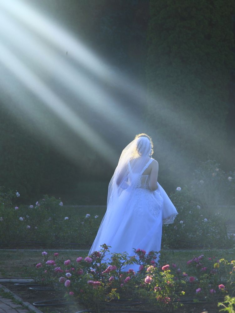 Photograph by Григорий Шишонков