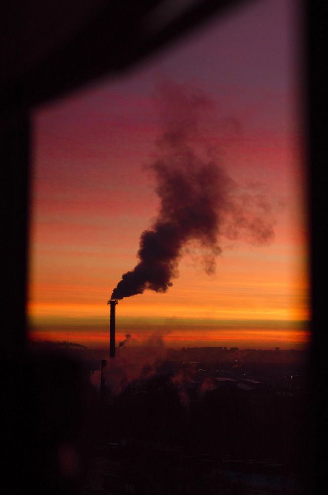 Фотография автора Мария Михайлова