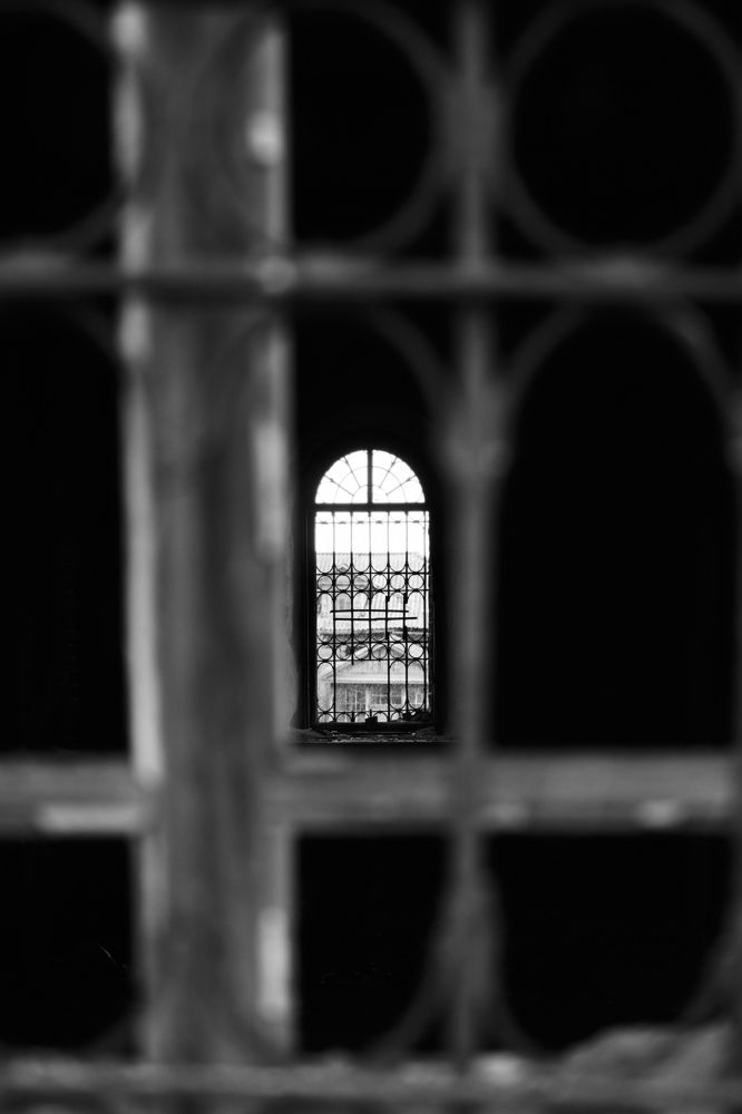 Фотография автора Александр Жданов