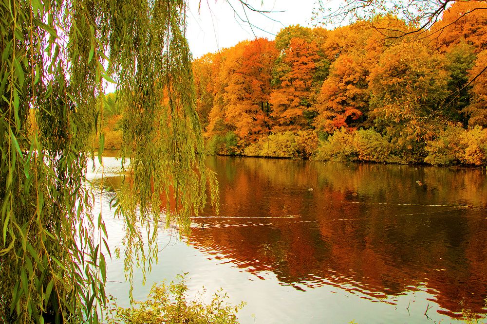 Photograph by Ирина Лебедева