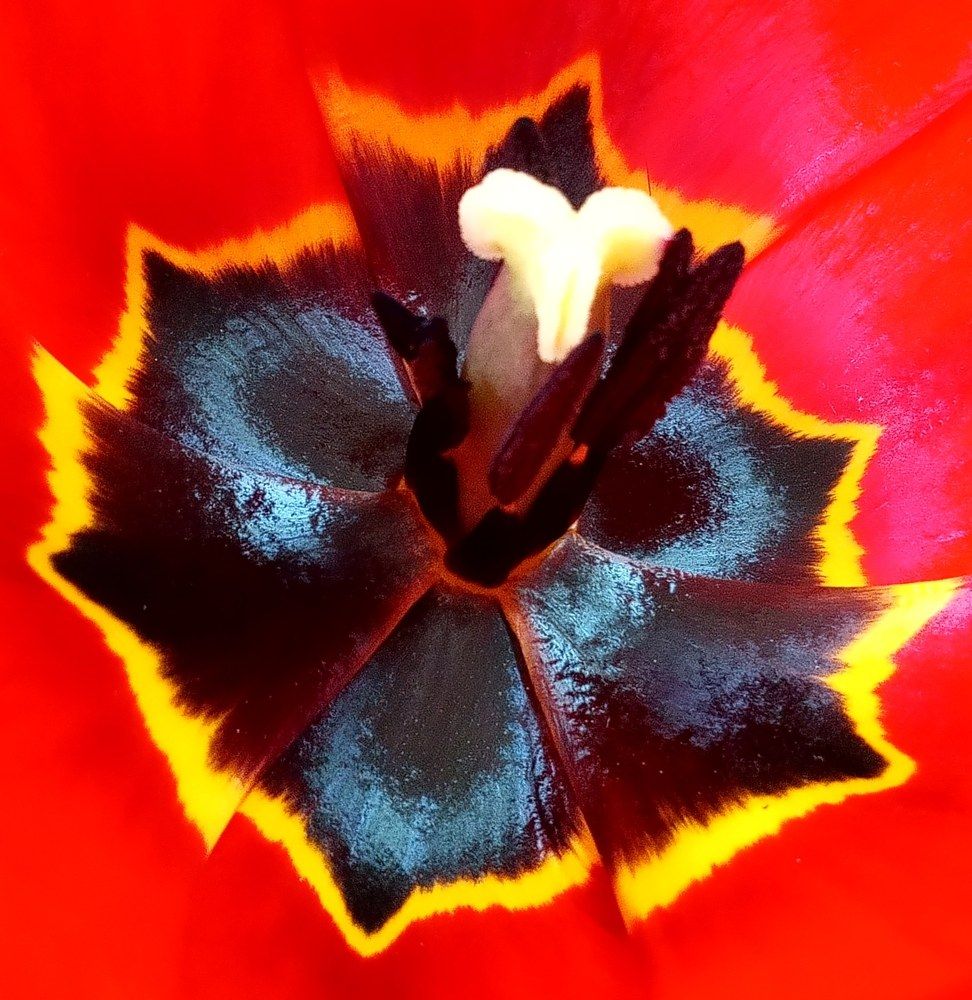 Photograph by Ольга Салтыкова