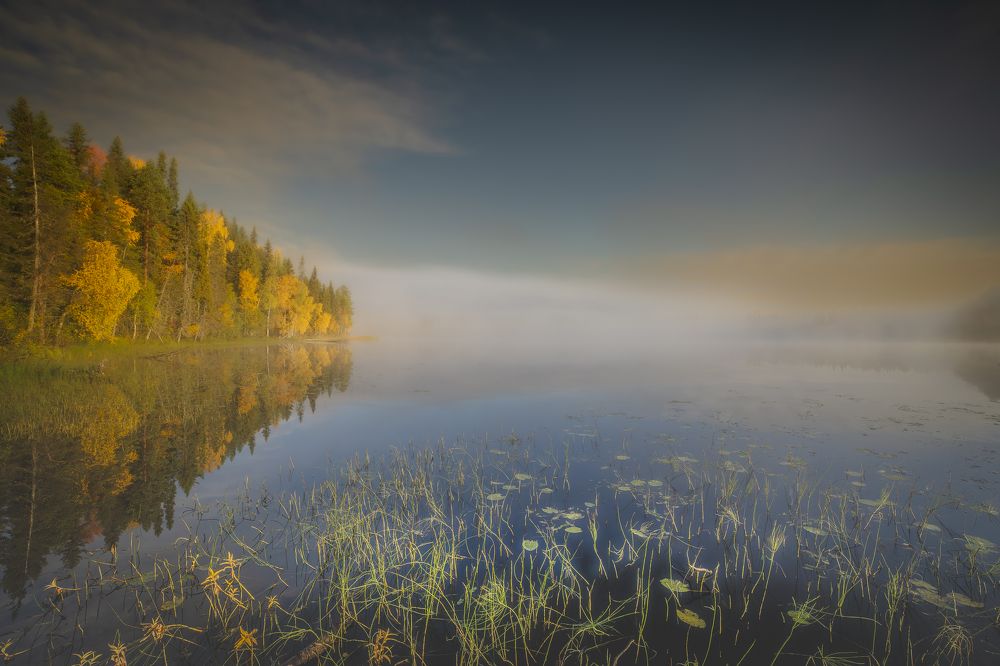 Сентябрьское утро