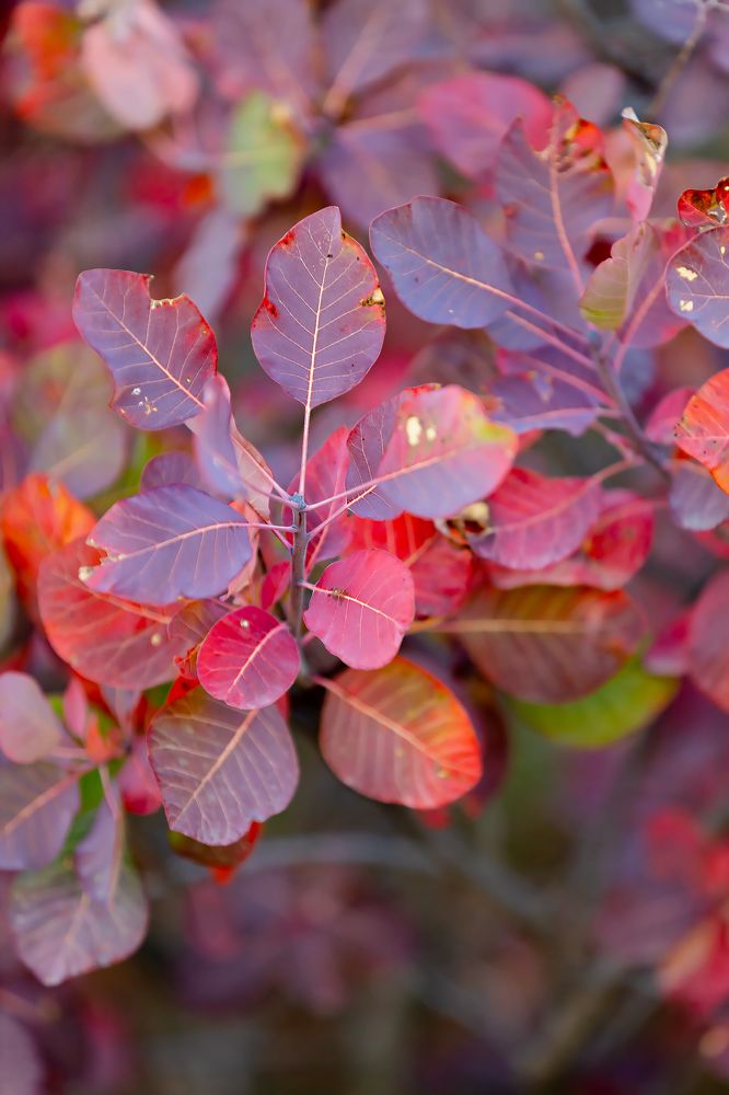 Photograph by Ольга Богданова