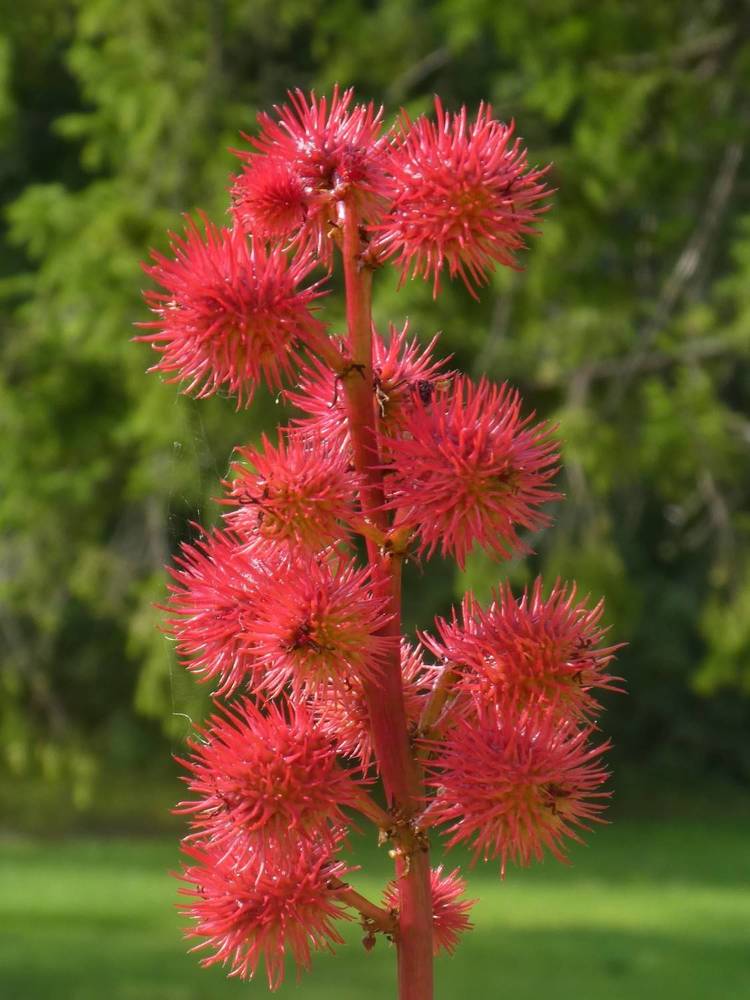 Photograph by Семкин Алексей