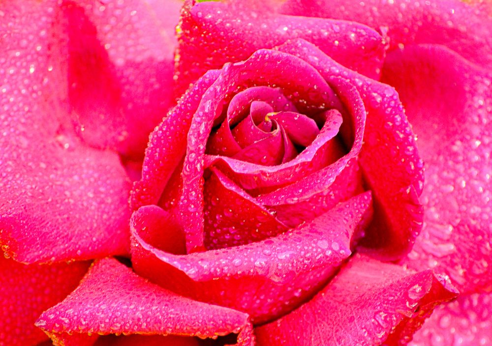 Photograph by Светлана Муравьева