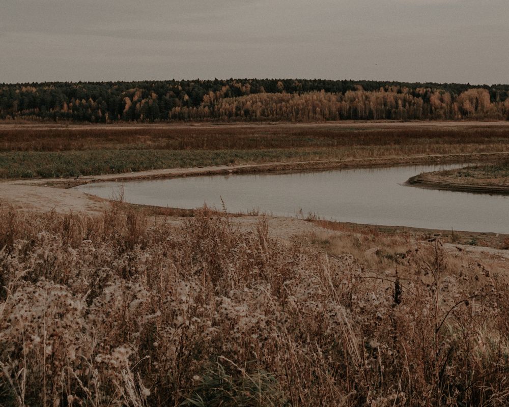 Photograph by Татьяна Ремизова