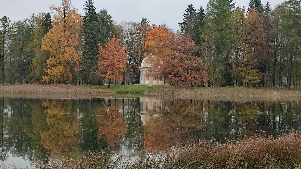 Осень в Гатчинском парке