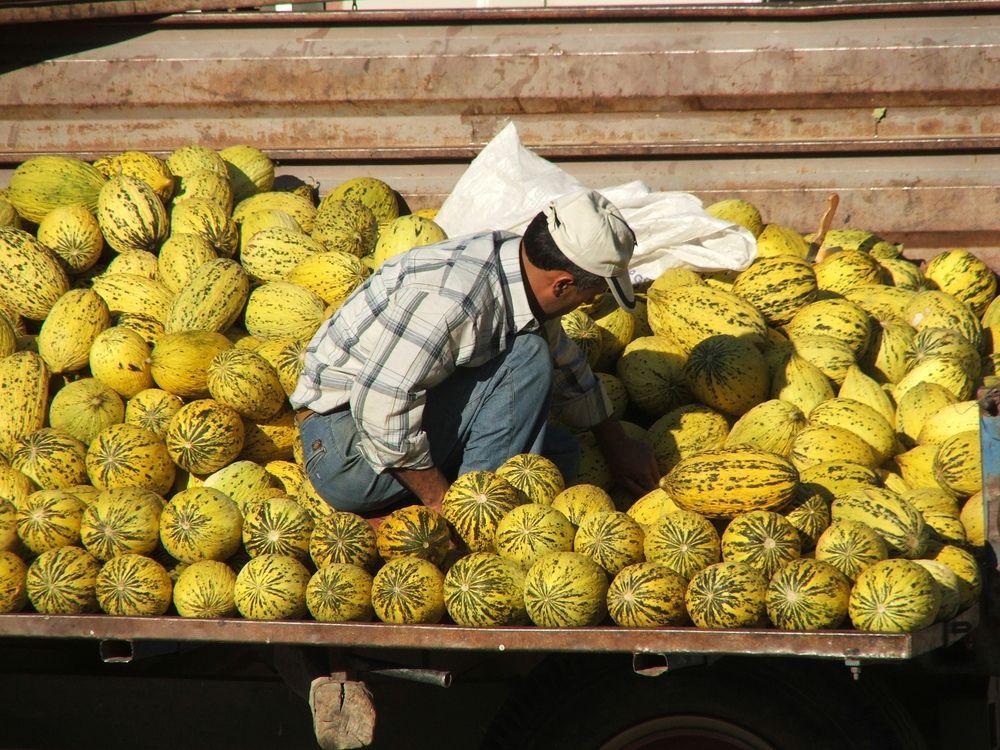 Photograph by Cengiz Yalcin