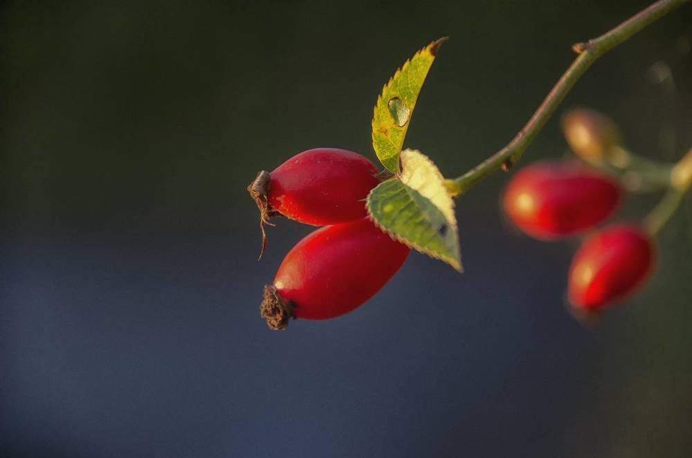 цвет и свет