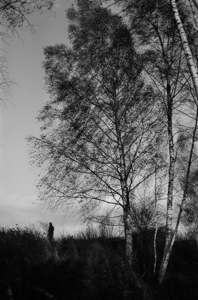 Photograph by Юлия Фомина