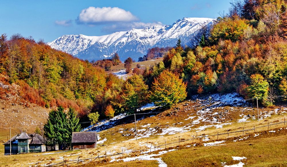 Photograph by Octavian Timosco