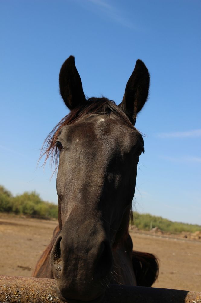 Photograph by Наталья Рыкова