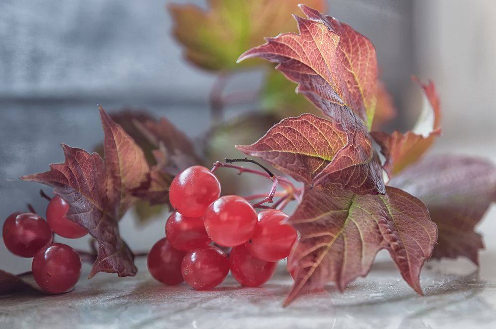 Photograph by Лидия