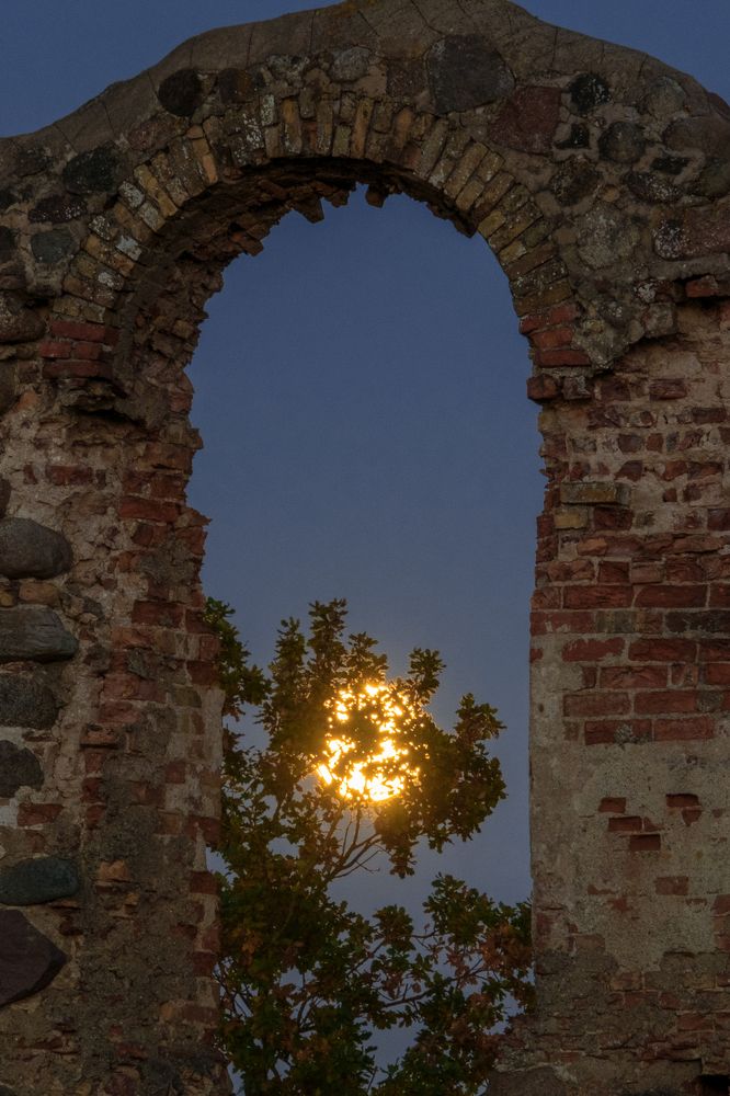 Photograph by Александр Творогов