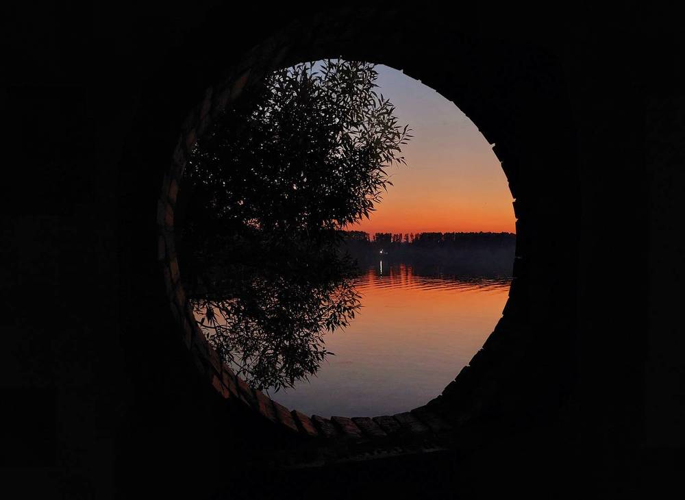 Фотография автора Виталий Петров