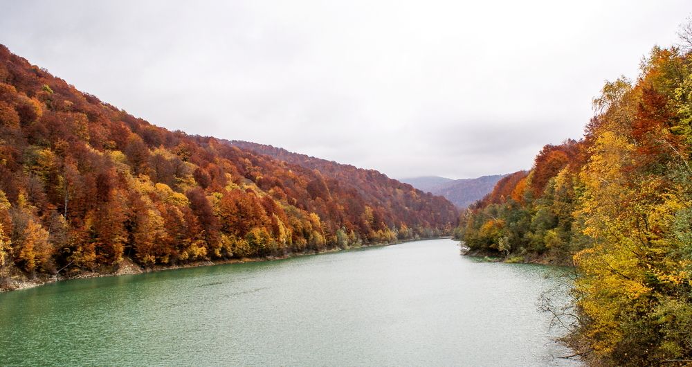 Photograph by Octavian Timosco