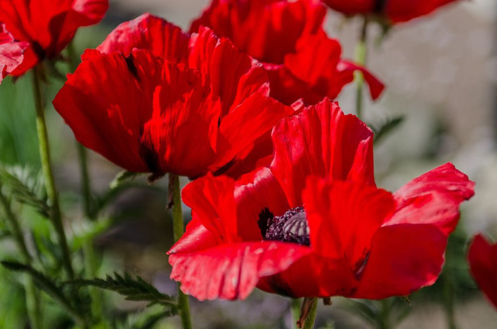 Photograph by Татьяна