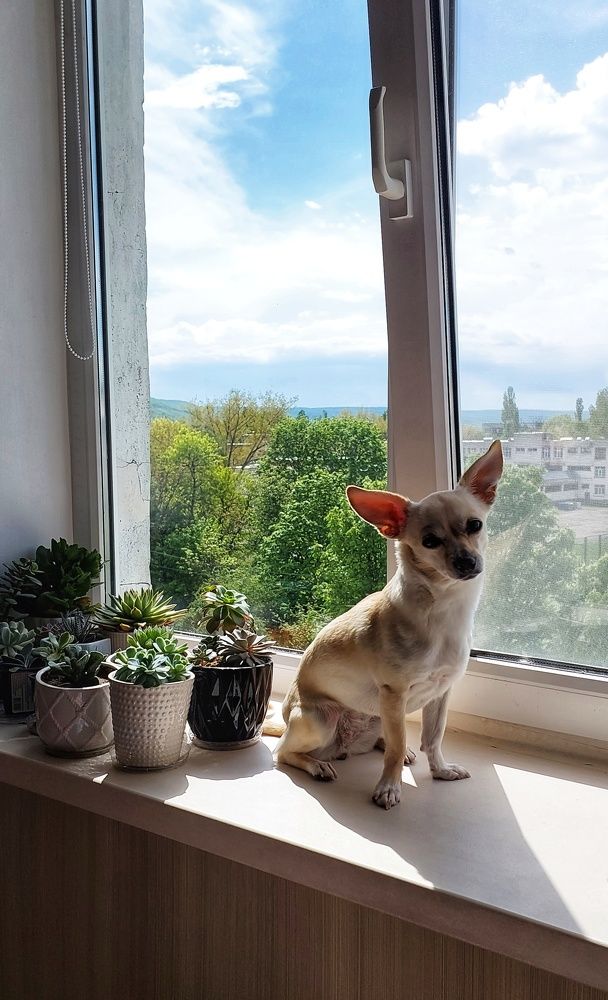 Photograph by Юлия Коробкова