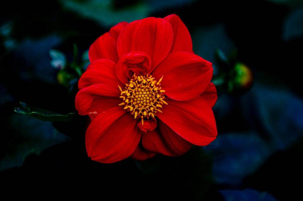 Photograph by Татьяна