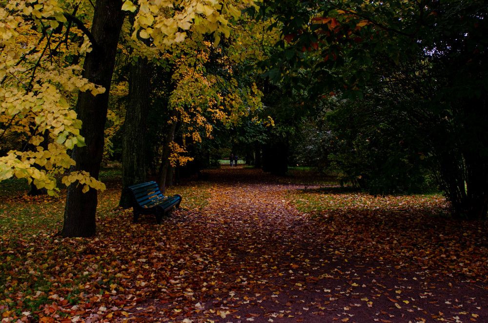 Photograph by Татьяна