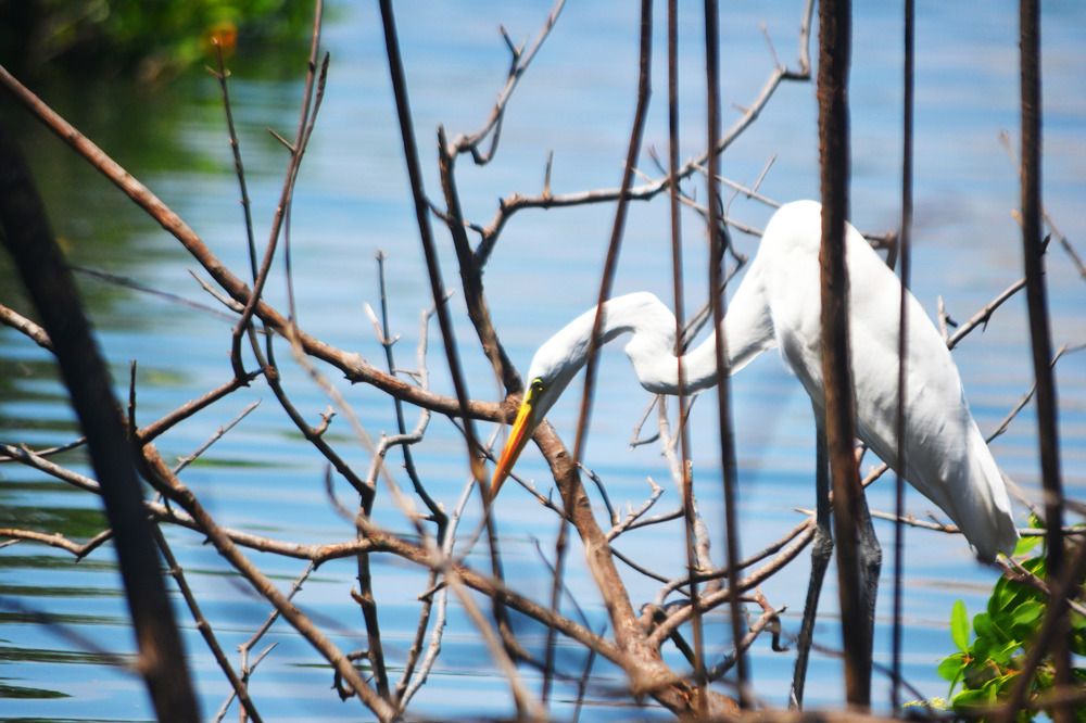 Photograph by Jorge Morales