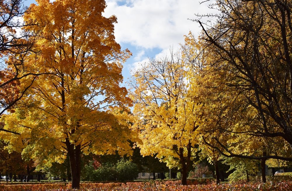 Photograph by Aleksandra Bistrova