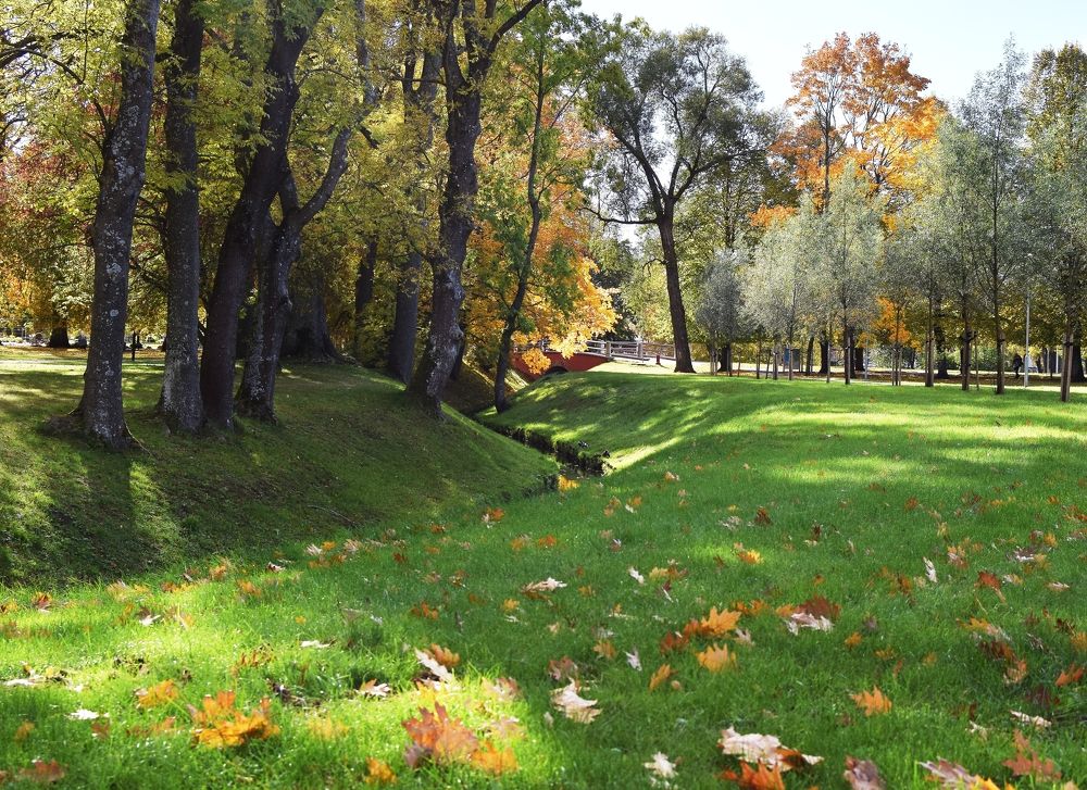 Photograph by Aleksandra Bistrova