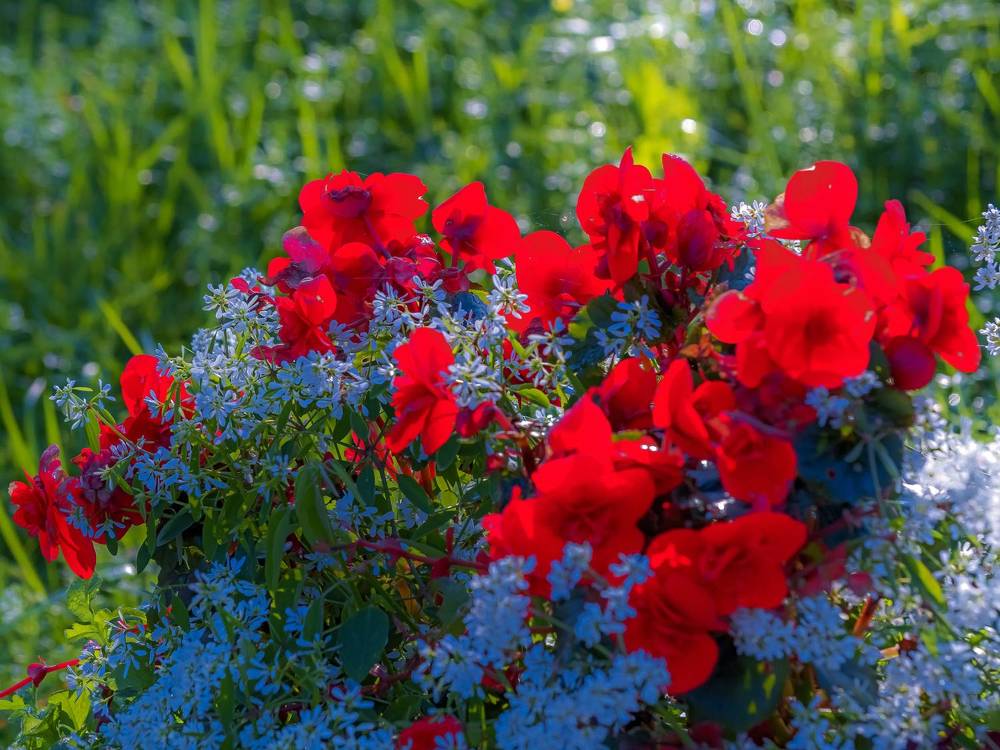 Photograph by Шутов Владимир