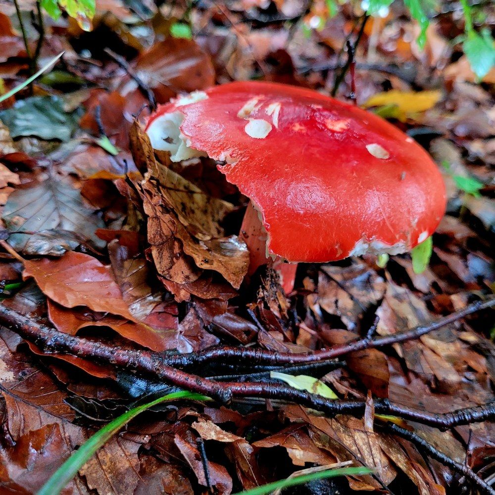 Photograph by Catherine Walter-Prêtre