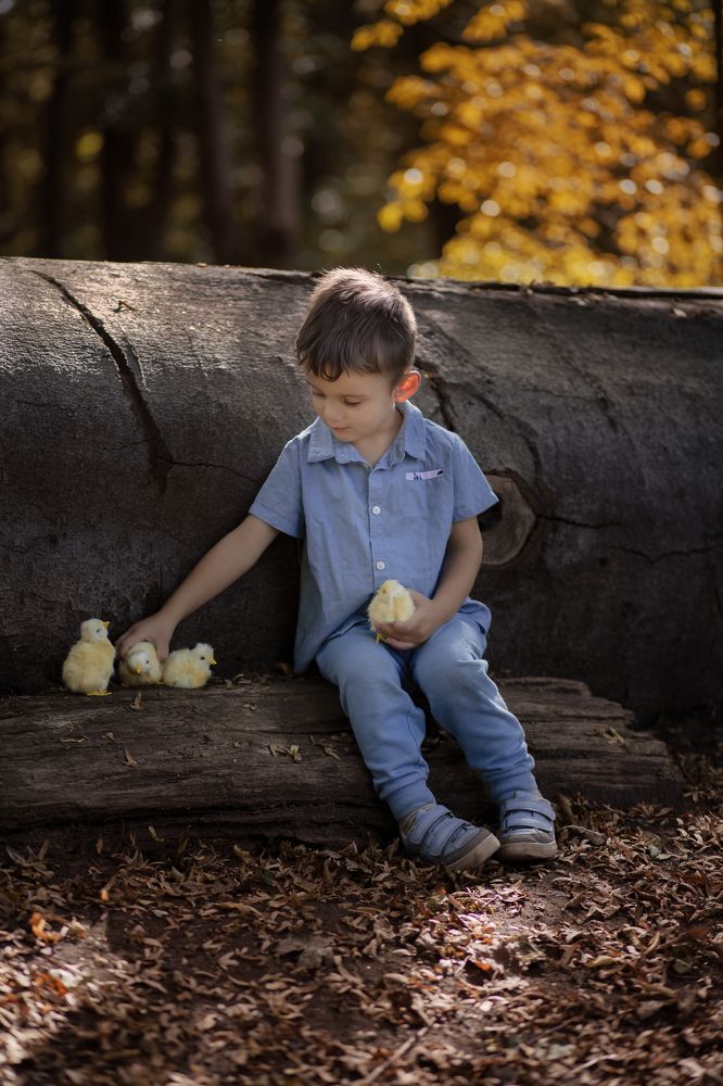 Фотография автора Ginny Marmer