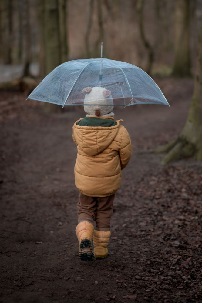 Фотография автора Ginny Marmer