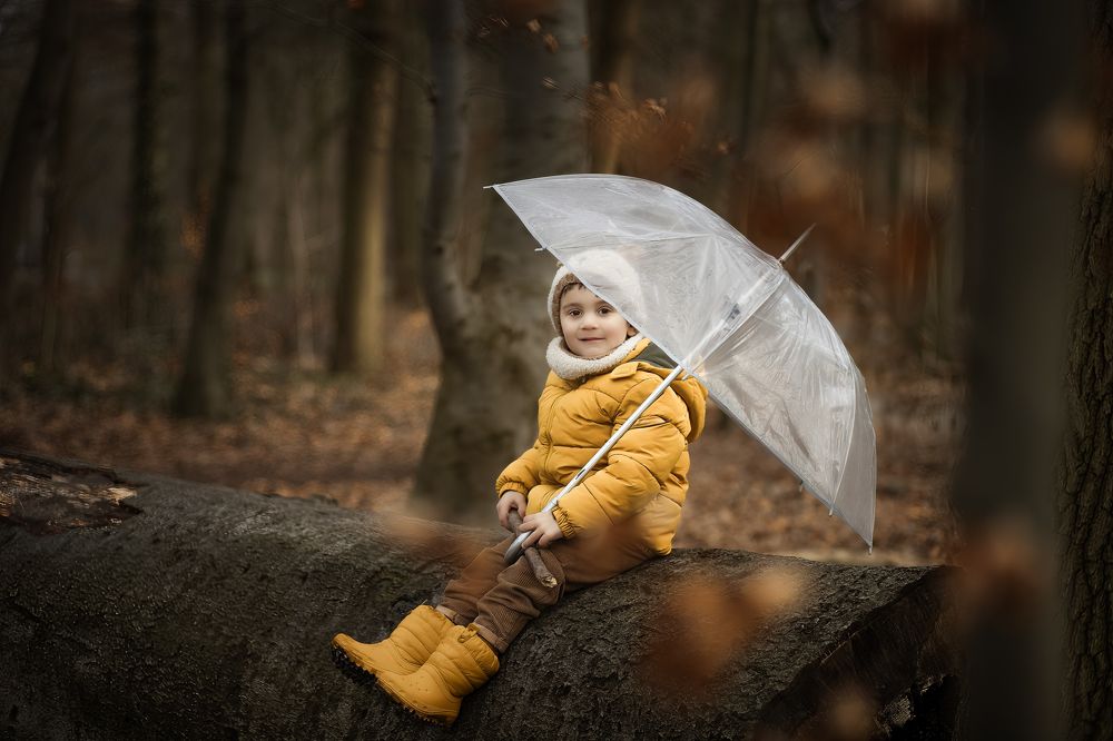 Фотография автора Ginny Marmer