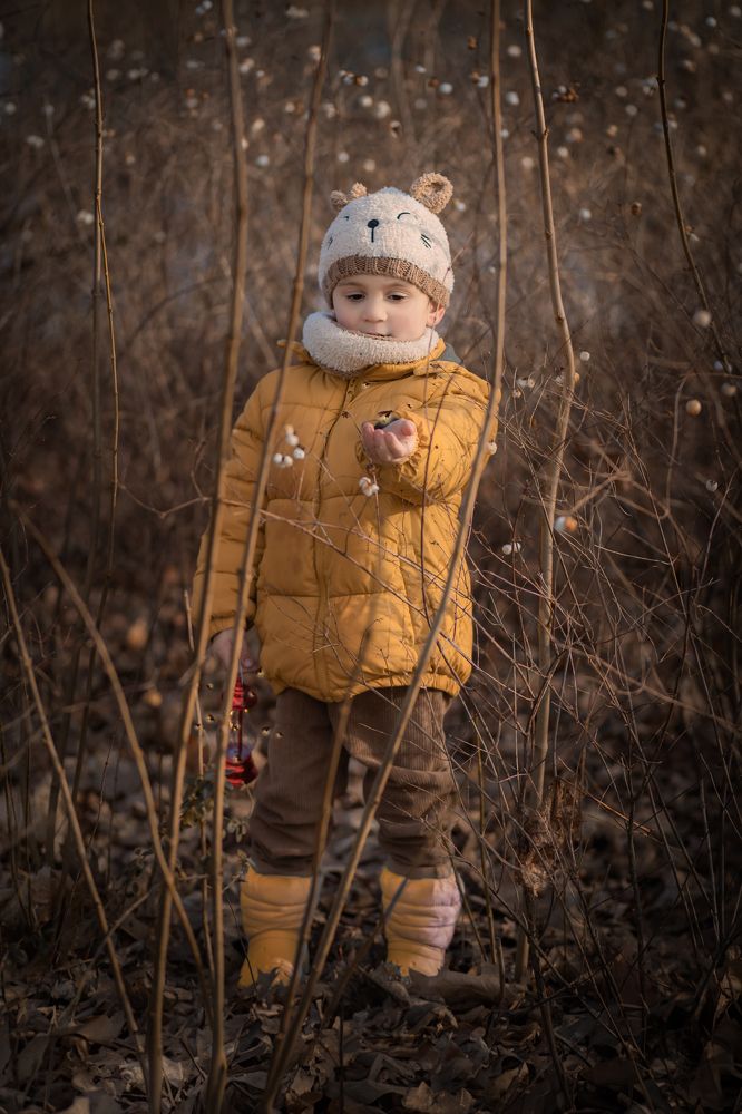 Фотография автора Ginny Marmer