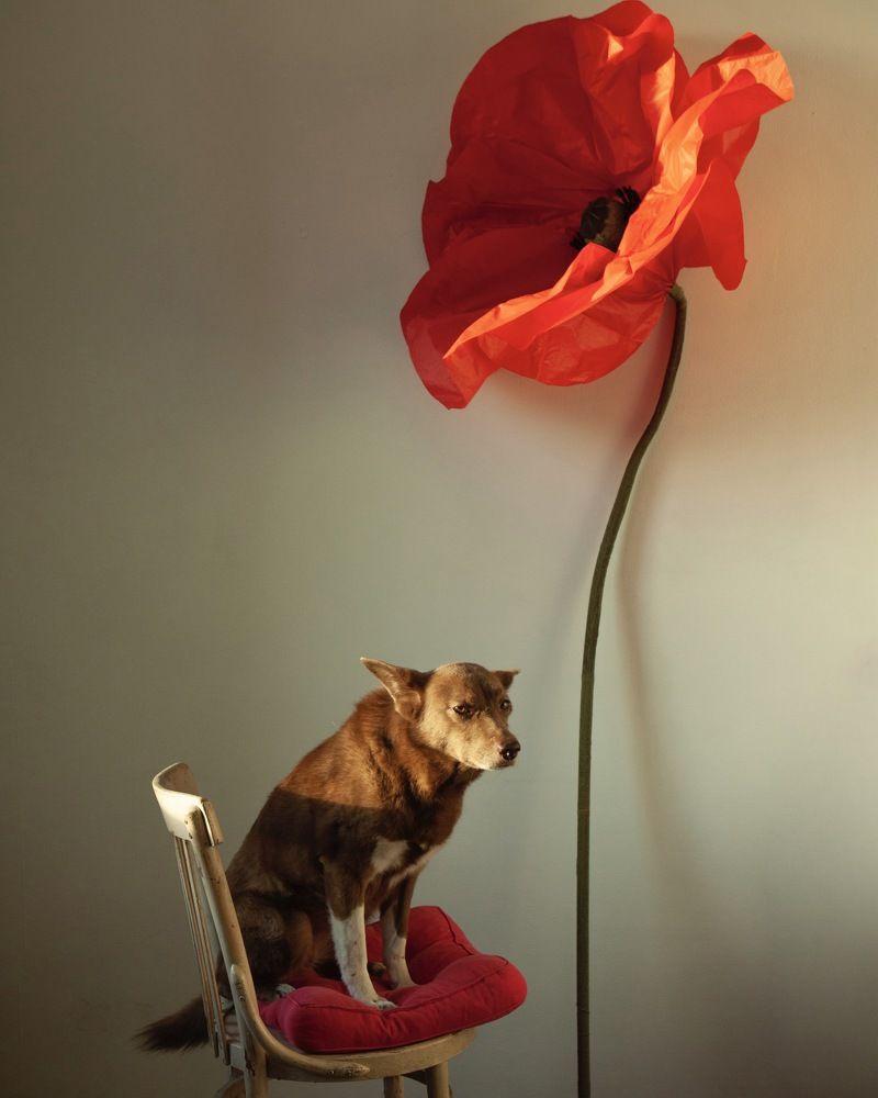 Фотография автора Galina Sa