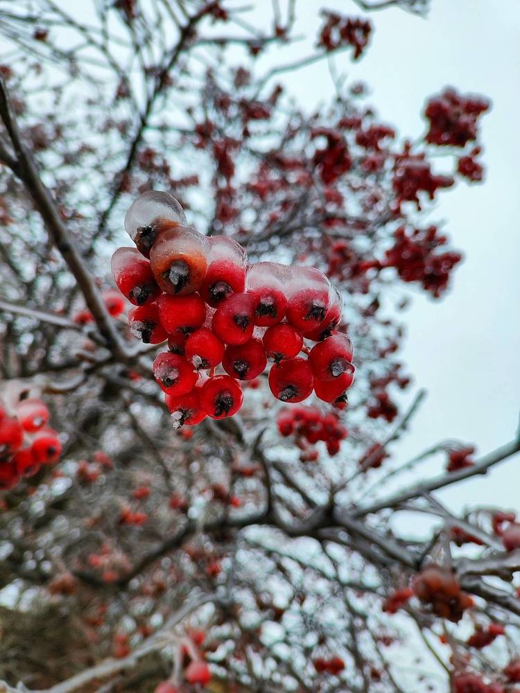 Photograph by Анна Напримерова