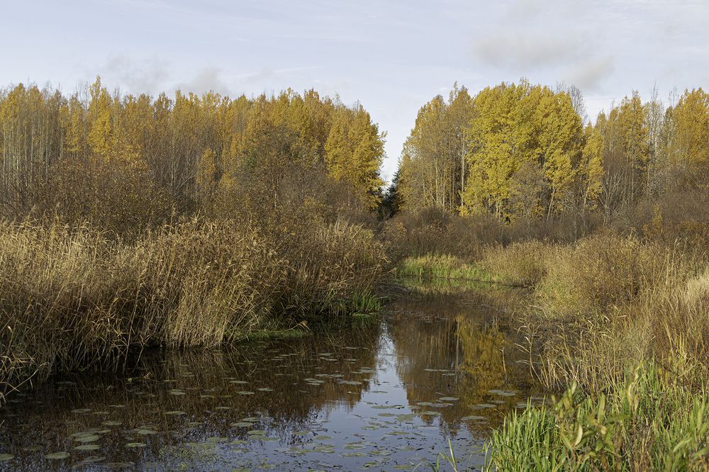 Photograph by Марианна Бессонова