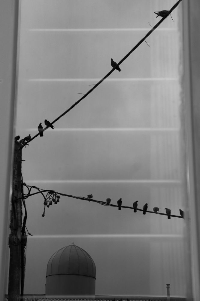 Photograph by Shima Farzaneh