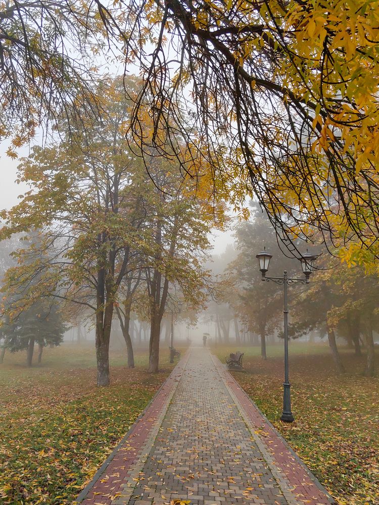 Photograph by Igor M.