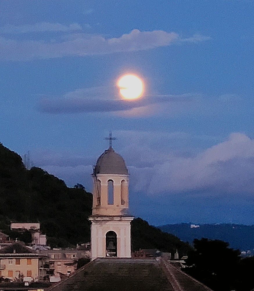 Photograph by claudia