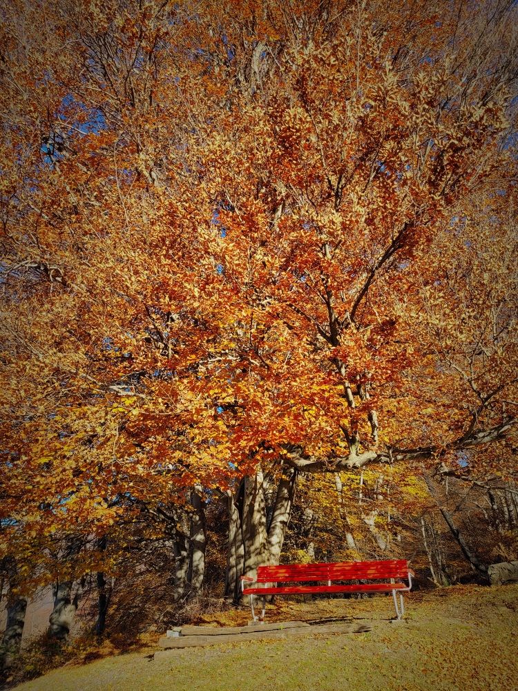 Photograph by Catherine Walter-Prêtre