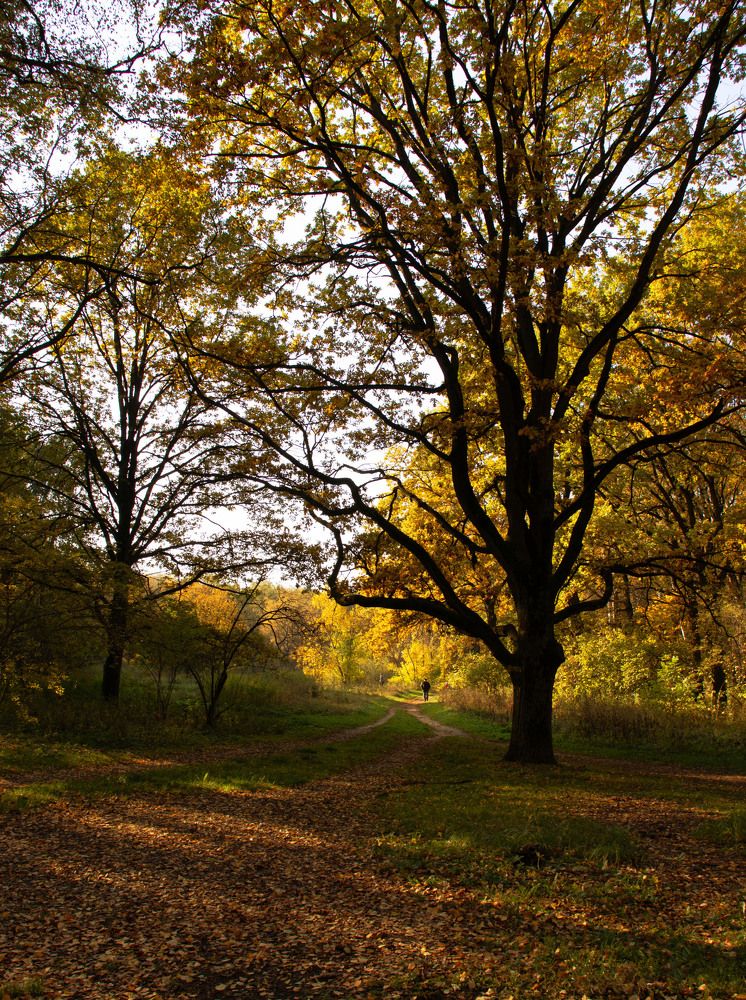 Photograph by Инна Воробьева