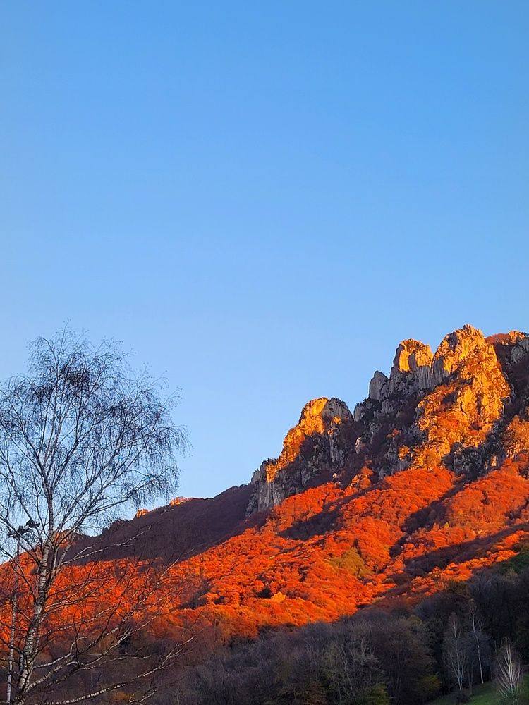 Photograph by Catherine Walter-Prêtre