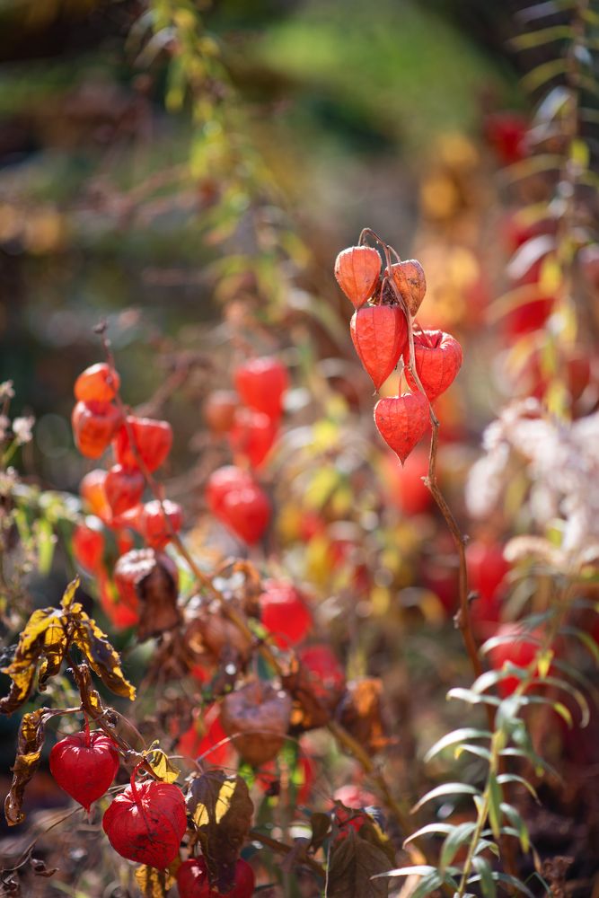 Photograph by Ирина Ященко